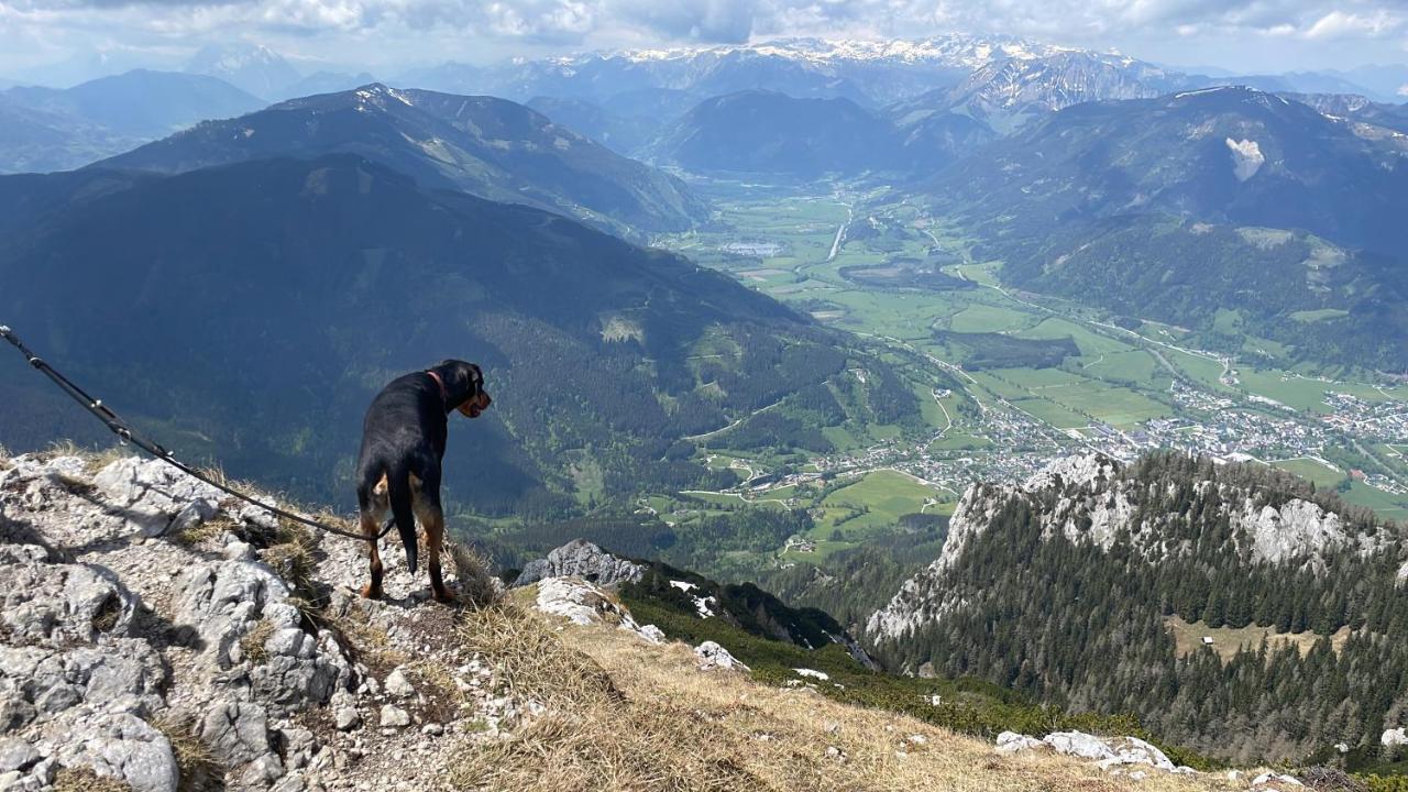Berghaus Gesaeuse Pension Weng im Gesause Eksteriør billede