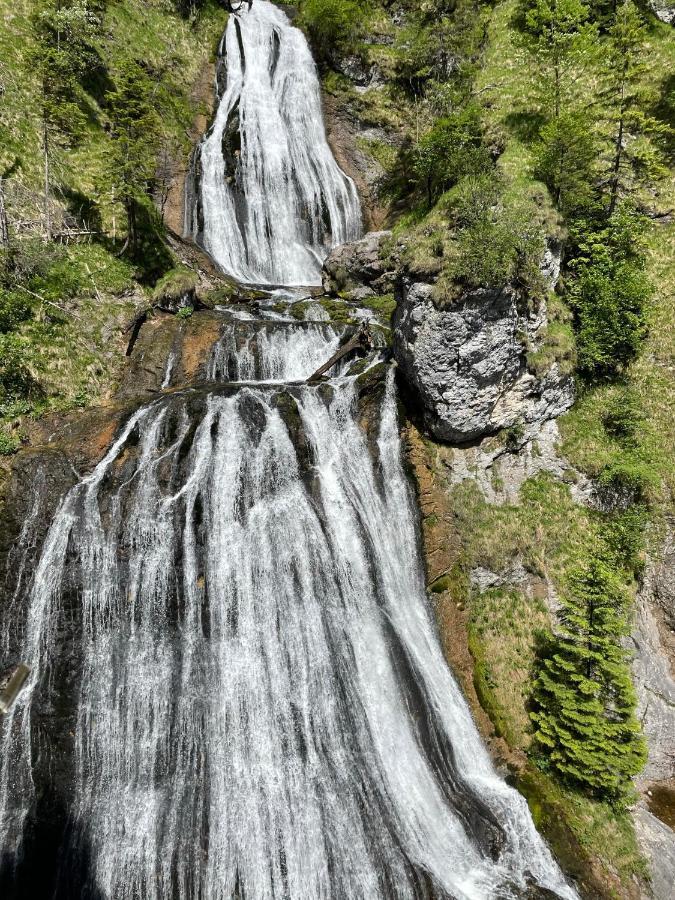 Berghaus Gesaeuse Pension Weng im Gesause Eksteriør billede