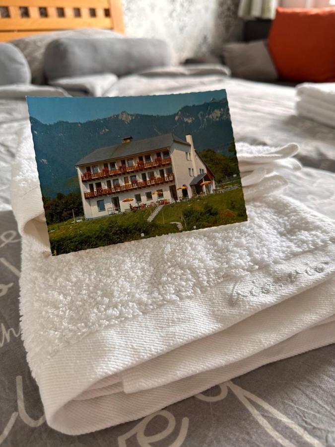 Berghaus Gesaeuse Pension Weng im Gesause Eksteriør billede